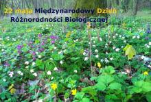 22 maja Międzynarodowy Dzień Różnorodności Biologicznej