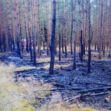 Pożar lasu na terenie Leśnictwa Jatki