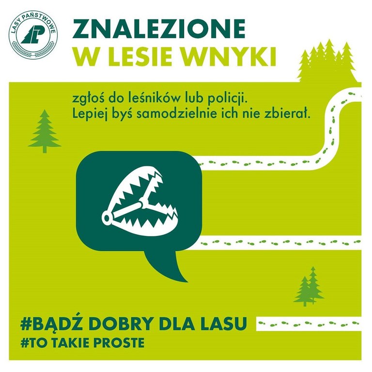 Zgłoś do leśników lub policji