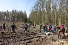 Stowarzyszenie EPAL wraz z leśnikami posadziło drzewa