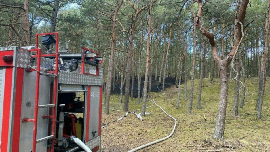 W lasach panuje wysokie zagrożenie pożarowe