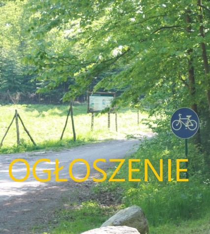 Wycinka drzew niebezpiecznych