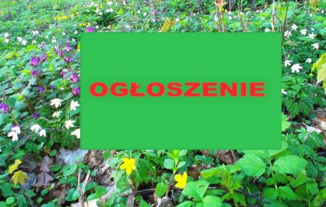 Ogłoszenie wyników konkursu plastycznego pn.:”Wiosna w lesie”